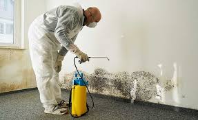  , USA Mold Remediation Pros